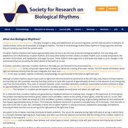 What Are Biological Rhythms? - SRBR: Society for Research on Biological Rhythms