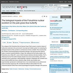 The biological impacts of the Fukushima nuclear accident on the pale grass blue butterfly : Scientific Reports