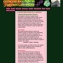 CIENCIAS BIOLOGICAS: TRANSFORMACIONES DE LA MATERIA