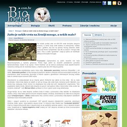 Biologija.com.hr - Vijesti - Biologija - Zašto je nekih vrsta na Zemlji mnogo, a nekih malo?