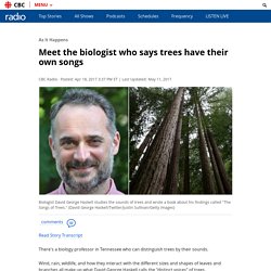 Meet the biologist who says trees have their own songs