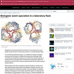 Biologists watch speciation in a laboratory flask