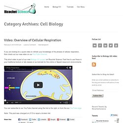 Cell Biology Archives