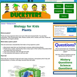 Biology for Kids: Plants