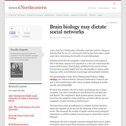 Brain biology may dictate social networks