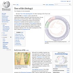 Tree of life (biology)