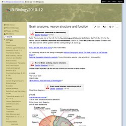 IB-Biology2010-12 - Brain anatomy, neuron structure and function