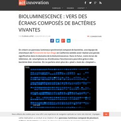 Bioluminescence : vers des écrans composés de bactéries vivantes