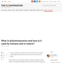 What is bioluminescence and how is it used by humans and in nature?