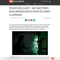 Philips Bio-light : des bactéries bioluminescentes pour éclairer la maison