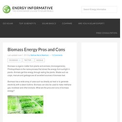 Biomass Energy Pros and Cons - Energy Informative
