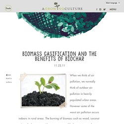 Biomass Gasification and the Benefits of Biochar