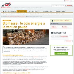 Biomasse : le bois énergie a le vent en poupe