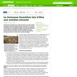 GREENPEACE 22/02/09 La biomasse forestière loin d’être une solution miracle!