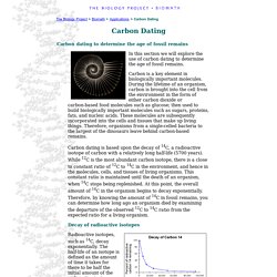 the utility of stratigraphy for dating purposes is based on the fact that