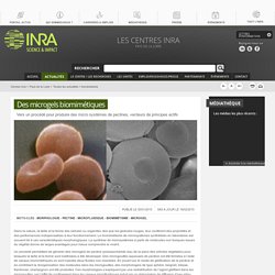 NRA 30/01/15 Des microgels biomimétiques - Vers un procédé pour produire des micro systèmes de pectines, vecteurs de principes actifs