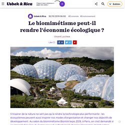 Le biomimétisme peut-il rendre l'économie écologique ?