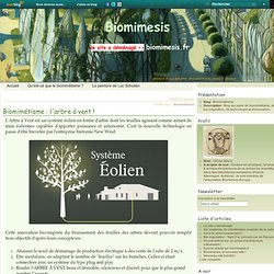 Biomimétisme : l'arbre à vent ! - Biomimétisme
