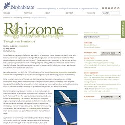 Thoughts on Biomimicry » Biomimicry » Rhizome Blog » Biohabitats Inc.