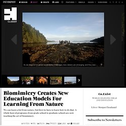 Biomimicry Creates New Education Models For Learning From Nature
