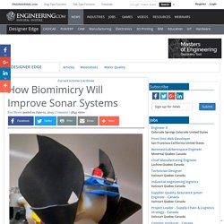 How Biomimicry Will Improve Sonar Systems