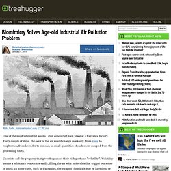 Biomimicry Solves Age-old Industrial Air Pollution Problem