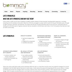 Biomimicry - Lifes Principles
