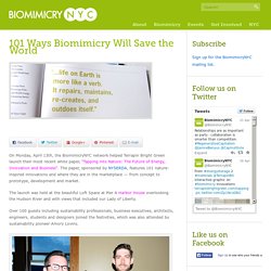 Biomimicry NYC » 101 Ways Biomimicry Will Save the World