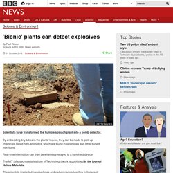 'Bionic' plants can detect explosives