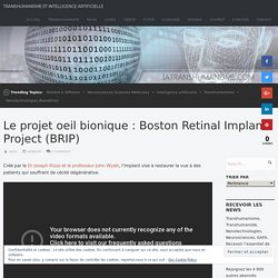 Le projet oeil bionique : Boston Retinal Implant Project (BRIP)