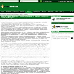MINERV® Pha : Bioplastica dalla Barbabietola, un brevetto italiano con certificato Europeo