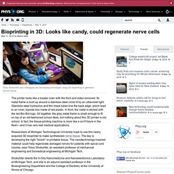 Bioprinting in 3D: Looks like candy, could regenerate nerve cells