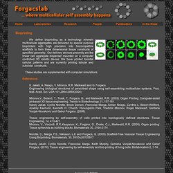 Welcome to the Forgacslab Website