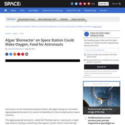 Algae 'Bioreactor' on Space Station Could Make Oxygen, Food for Astronauts
