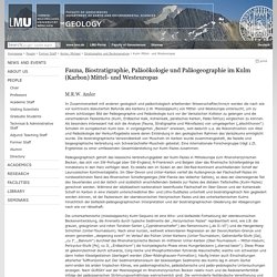 Fauna, Biostratigraphie, Paläoökologie und Paläogeographie im Kulm (Karbon) Mittel- und Westeuropas - Geology - LMU Munich