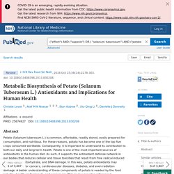 Metabolic Biosynthesis of Potato (Solanum Tuberosum L.) Antioxidants and Implications for Human Health - PubMed