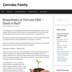 Biosynthesis of TCH and CBD – Good or Bad?