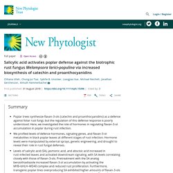 Salicylic acid activates poplar defense against the biotrophic rust fungus Melampsora larici‐populina via increased biosynthesis of catechin and proanthocyanidins - Ullah - 2019