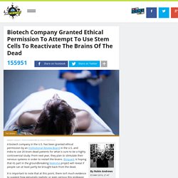 Biotech Company Granted Ethical Permission To Attempt To Use Stem Cells To Reactivate The Brains Of The Dead