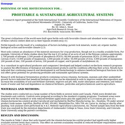 Soil Biotechnology for sustainable Agriculture -a report to the International Federation of Organic Movements (IFOAM)-Mozilla Firefox
