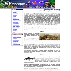 Biotipo del Paraná - El Estanque.com