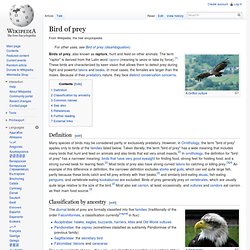 Bird of prey