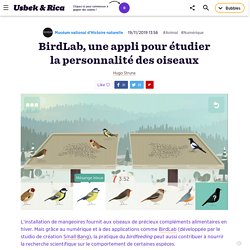 BirdLab, une appli pour étudier la personnalité des oiseaux