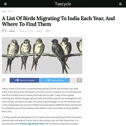 A List Of Birds Migrating To India Each Year, And Where To Find Them