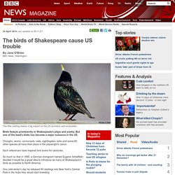 The birds of Shakespeare cause US trouble