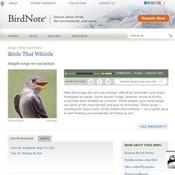 Birds That Whistle