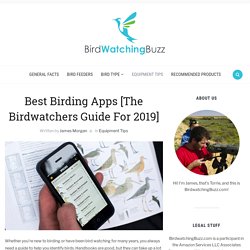 Best Birding Apps [The Birdwatchers Guide For 2019]