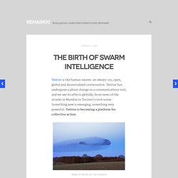 The Birth of Swarm Intelligence : Remarkk!