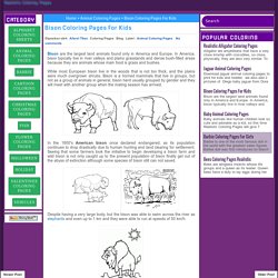 Bison Coloring Pages For Kids