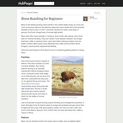 Bison Ranching for Beginners